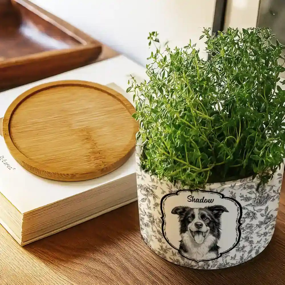 Custom Photo Pencil Sketch Dog Cat Pet Portrait Toile - Personalized Plant Pot - Image 3