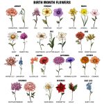 My Reading Pillow Reading Girl With Birth Month Flower – Personalized Pocket Pillow