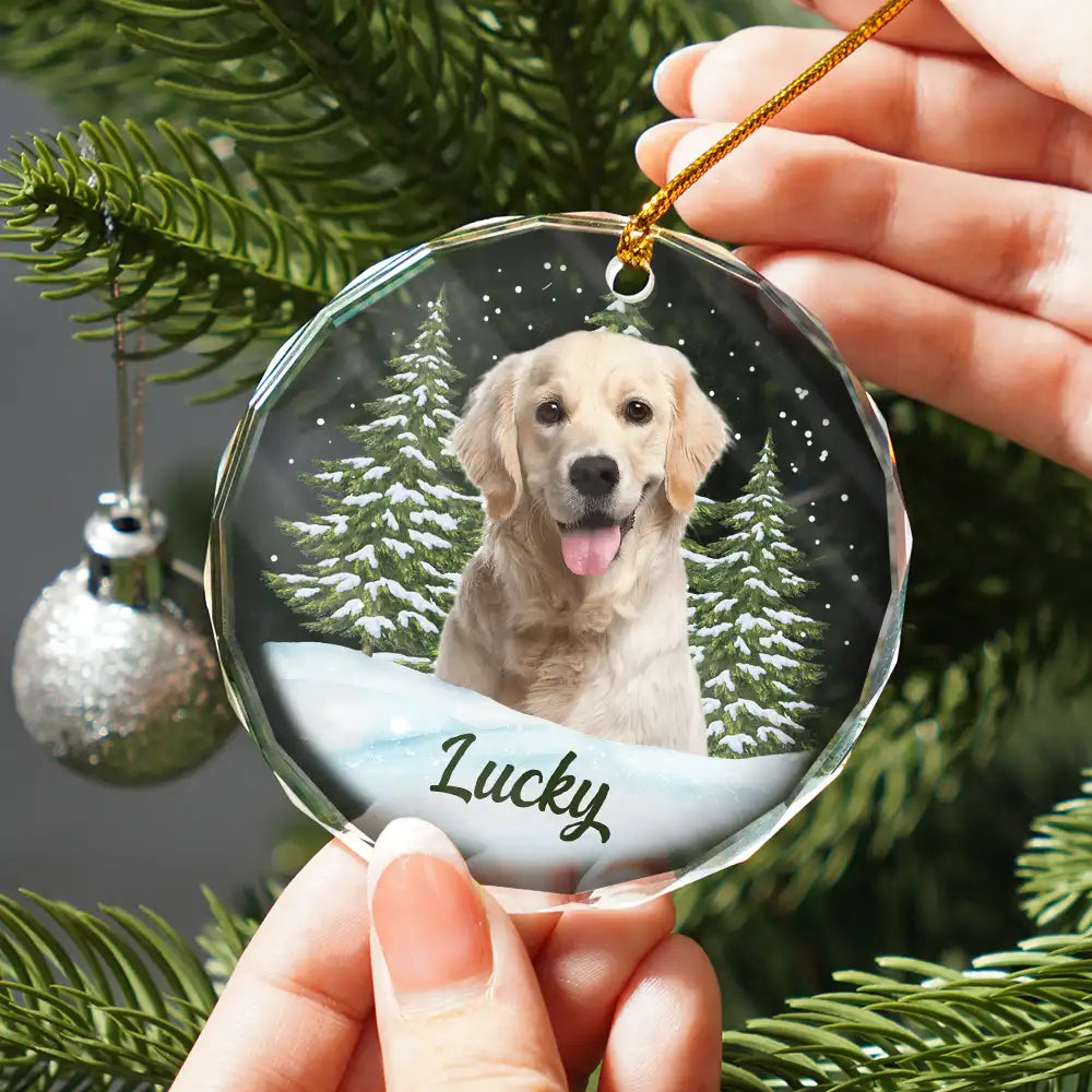 Custom Photo Pet Face - Christmas Gift For Dog Lovers, Cat Lovers, Pet Lovers, Pet Memorial - Personalized Circle Glass Ornament - Image 2