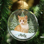 Custom Photo Pet Face – Christmas Gift For Dog Lovers, Cat Lovers, Pet Lovers, Pet Memorial – Personalized Circle Glass Ornament