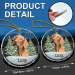 Custom Photo Pet Face – Christmas Gift For Dog Lovers, Cat Lovers, Pet Lovers, Pet Memorial – Personalized Circle Glass Ornament